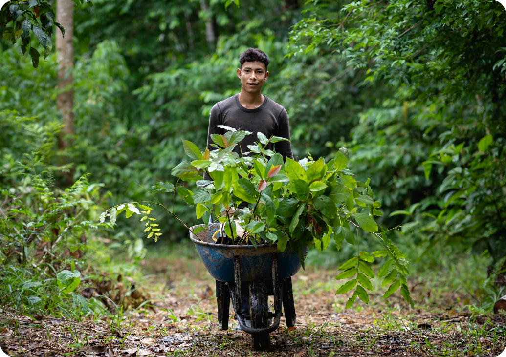 �й���������