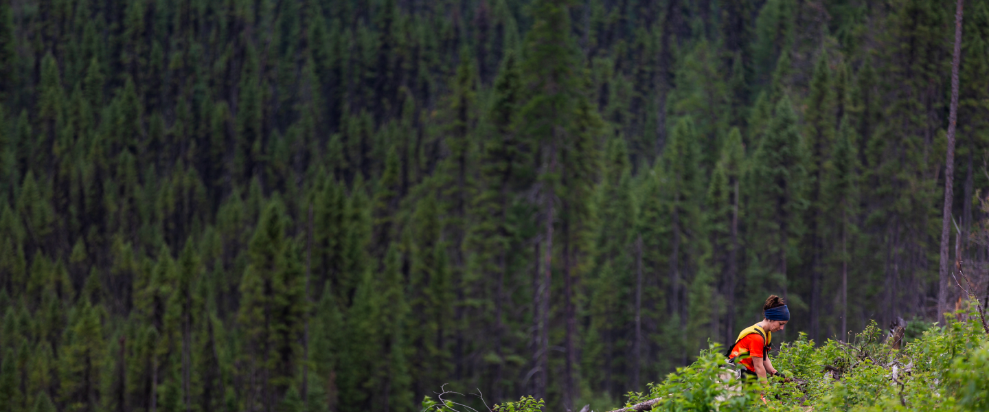 �й���������