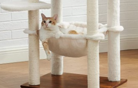 �й���������