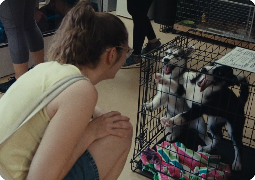 �й���������