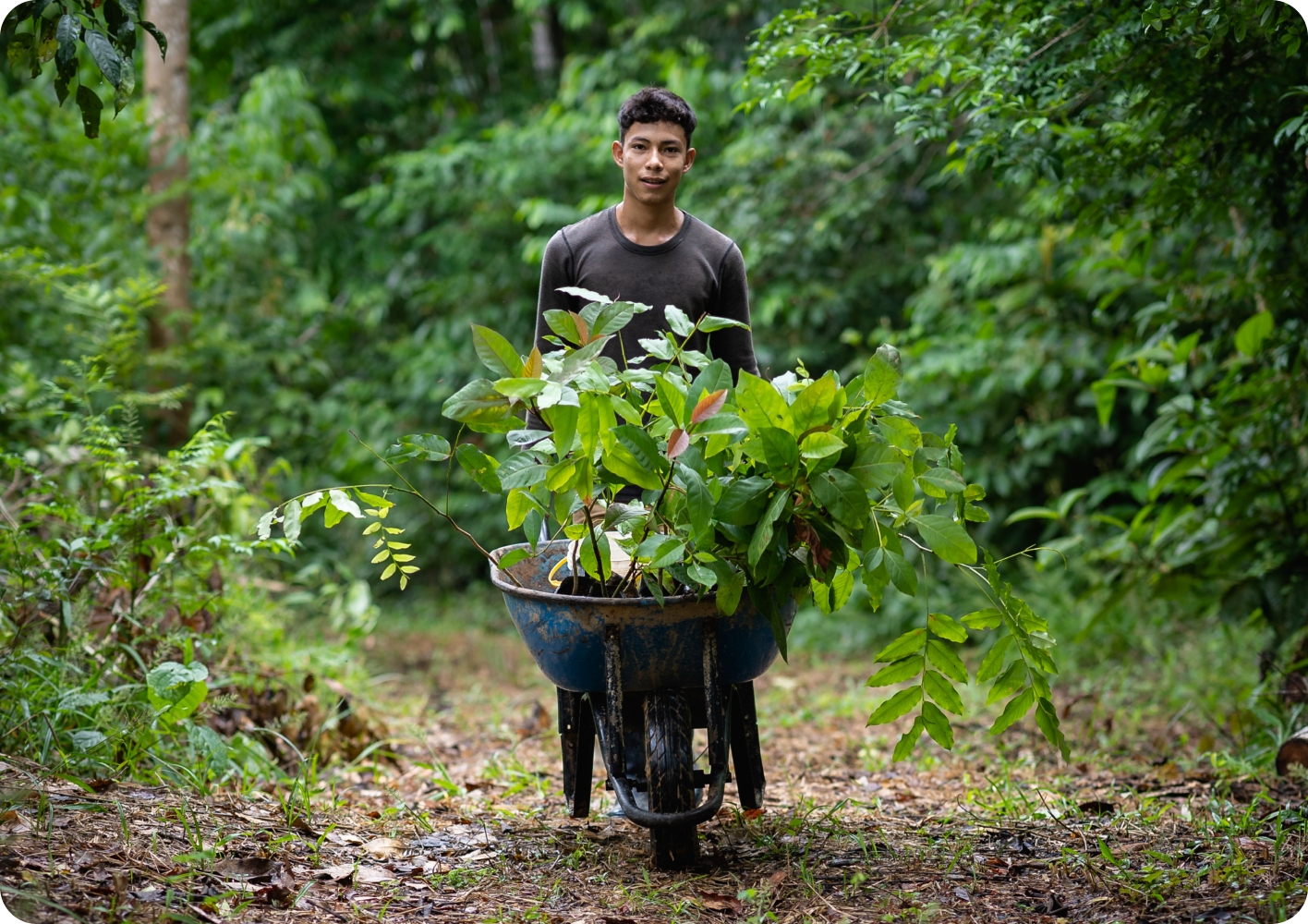 �й���������